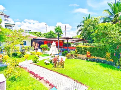 Suki Palm – Foto 5
