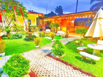 Suki Palm – Foto 8